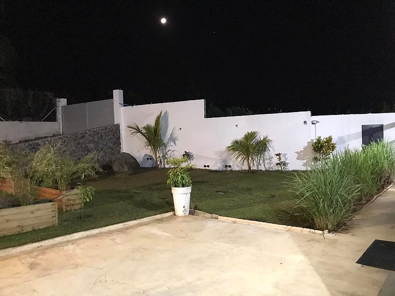 Le jardin sous la lune