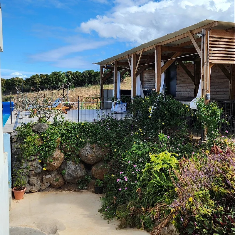 Le jardin fleuri devant la cuisine extérieure