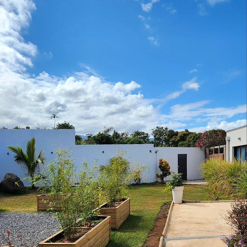 La pelouse devant la villa, bordée de plantes